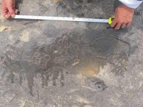 الشرعي الحمة 4